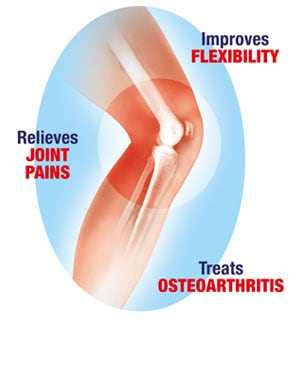 xray knee Livewell2u
