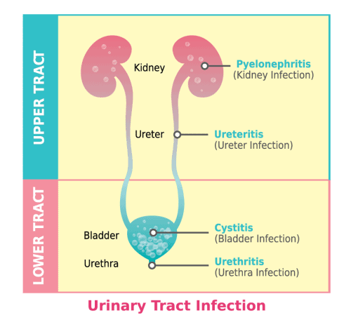 utipure 2 Livewell2u