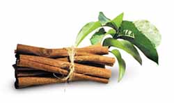 help for sugar highs cinnamon banana leaf Livewell2u