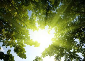 sunshine pill for health Livewell2u
